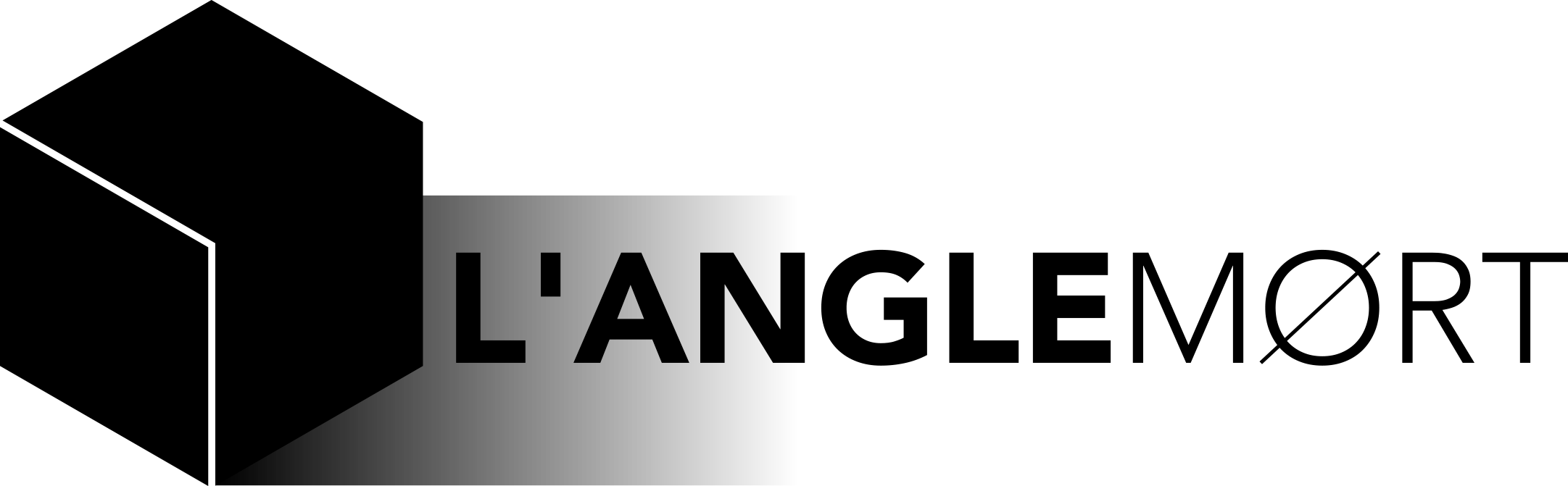 l'angle mort logo black